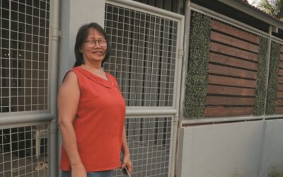 Titulo kan daga: patunay nin  paghingua asin paglaom