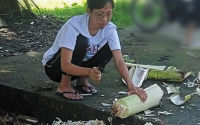 A Scholar’s Vision: Innovative Agriculture
